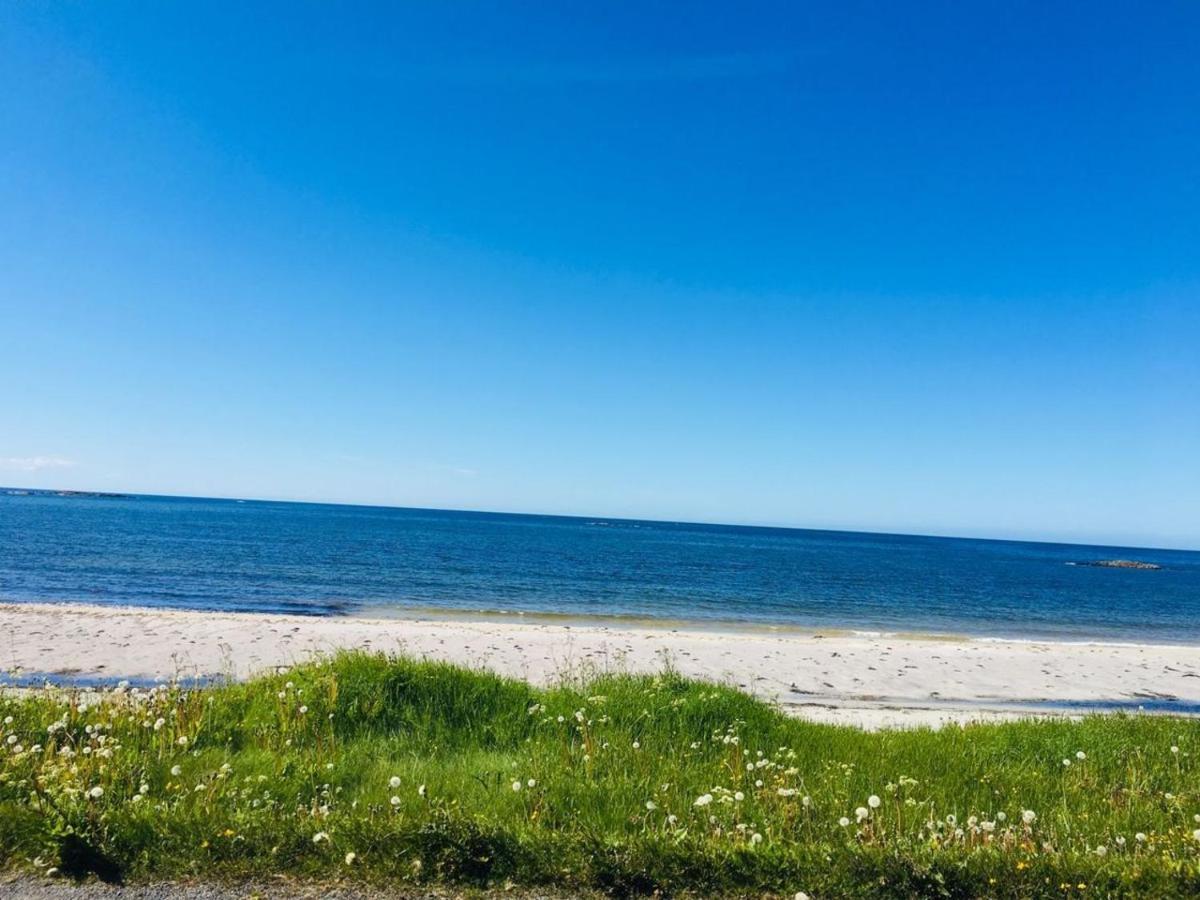 Andenes Sentrum Apartment Dış mekan fotoğraf